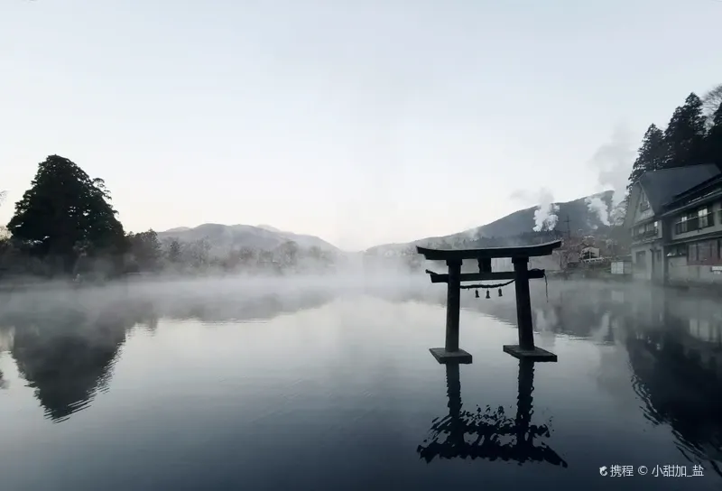 由布市由布院金鱗湖美術館附近的晨霧美景