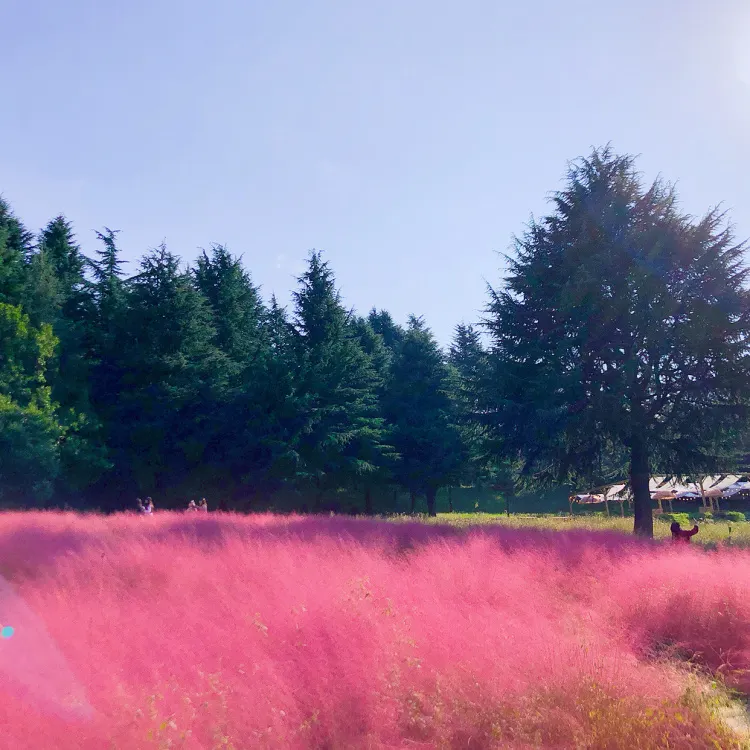 대구 이월드 (출처: 대구 이월드 83타워 공식홈페이지)