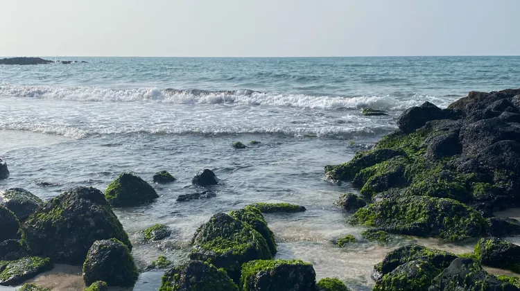 Jeju, a beautiful and interesting destination for your holiday