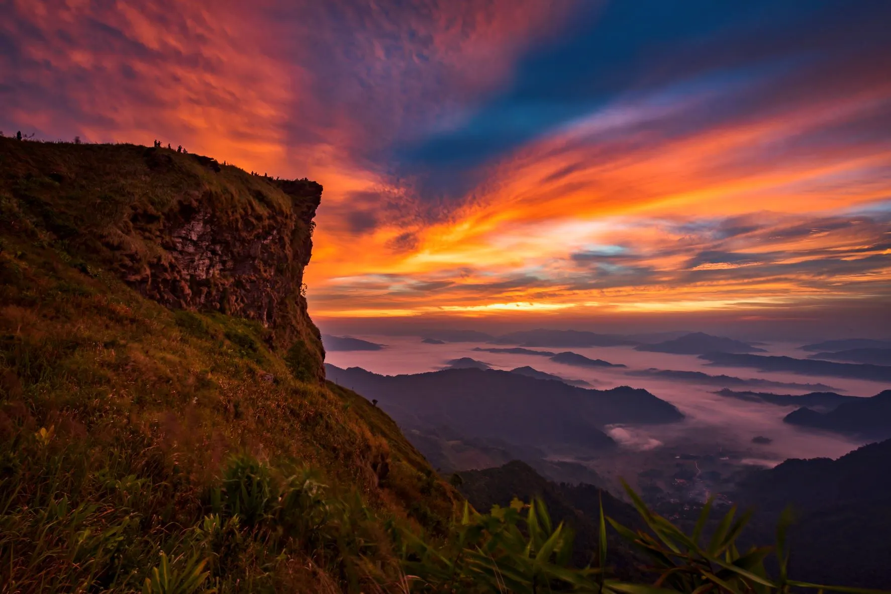 ตำบลบ้านดู่ : อุทยานแห่งชาติภูชี้ฟ้า (Source: การท่องเที่ยวแห่งประเทศไทย)