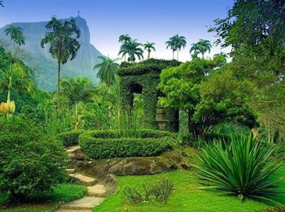 Botanical Garden of Rio de Janeiro, Samba AKA Rio de Janeiro