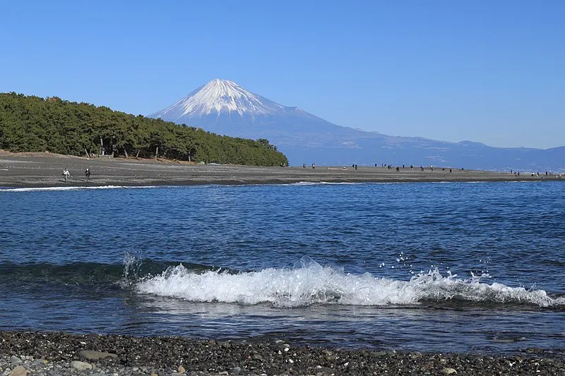 静岡市, 静岡大学, 清水区三保