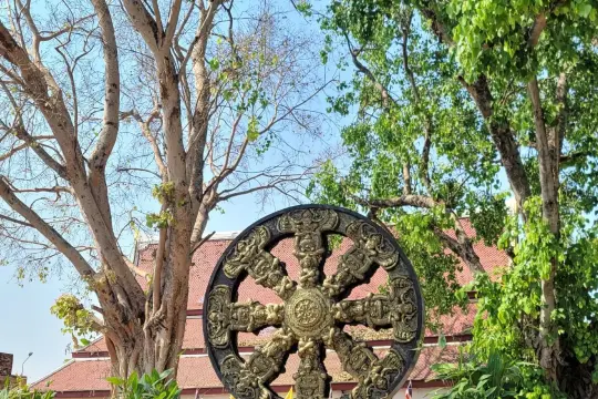 อำเภอวังทอง-กงกรรมกงเกวียน (Source: Petra.Pläu/Trip.com)