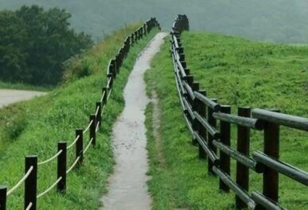 평창군 삼양목장