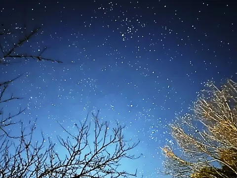 長野県｜阿智｜阿智村ヘブンスそのはら｜満天の星空