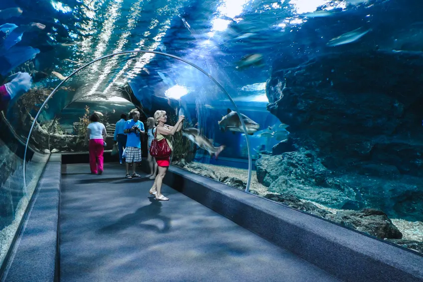 Underwater World Pattaya บางละมุง (แหล่งที่มาของภาพ: Grigorii Pisotsckii/Shutterstock)