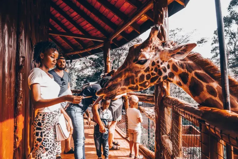 Giraffe Centre, Nairobi.