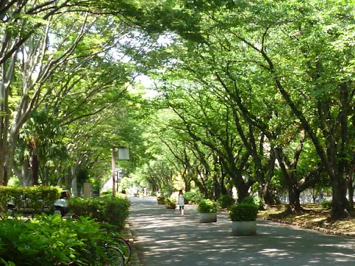 千葉市, 千葉大学, 稲毛区弥生町