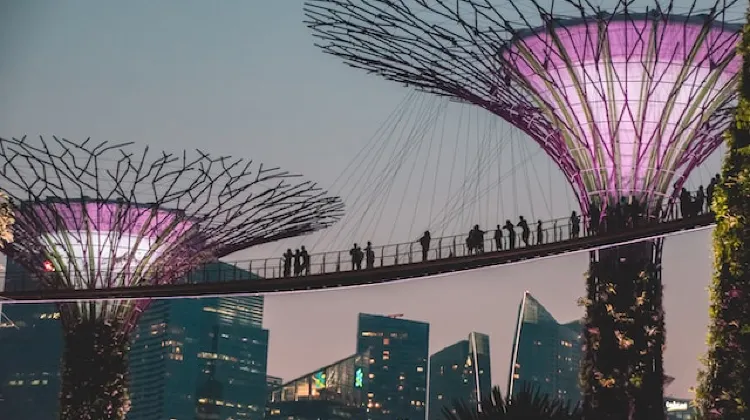 黃昏時刻的濱海灣花園  圖片來源：unsplash