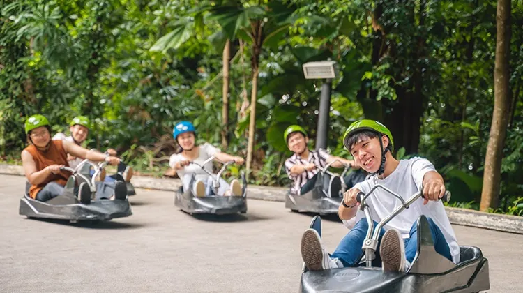 Luge Sentosa: The Adrenaline-Packed Guide To Sentosa's Best Rides