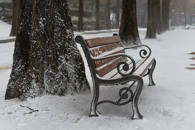 韓国・大邱の2月の気温