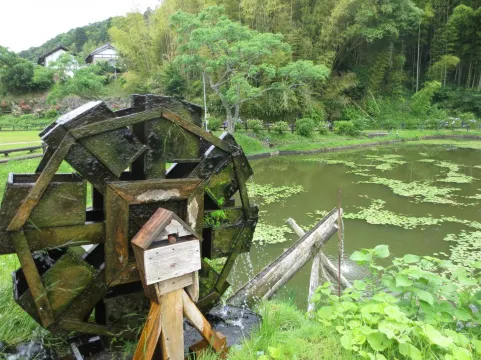 千葉県,長南町,熊野の清水公園