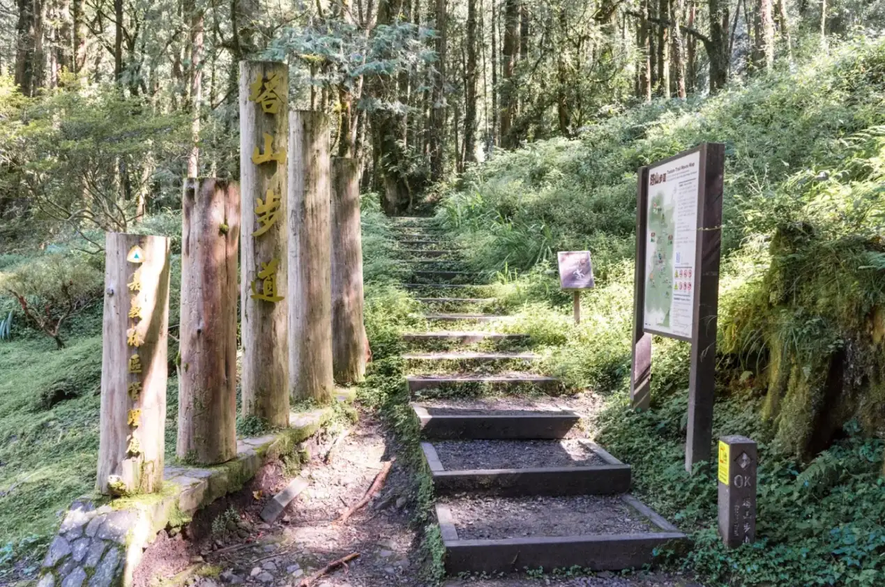 阿里山行程推薦之一塔山步道的起點