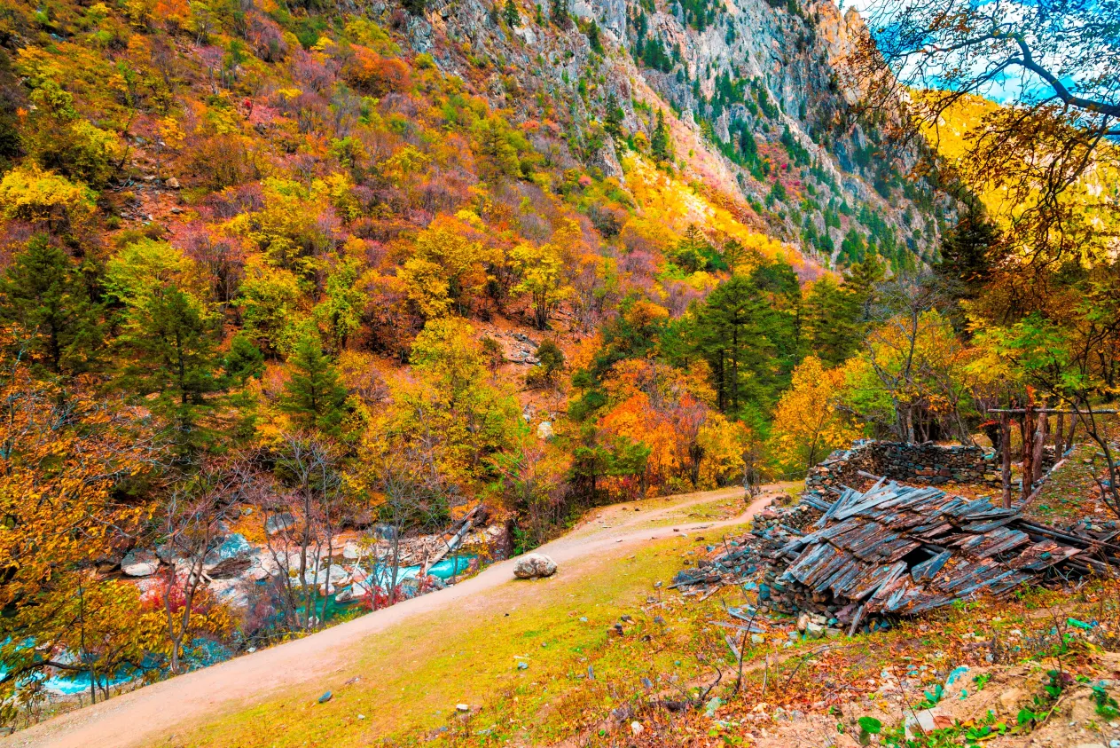 秋日的德欽雨崩村 