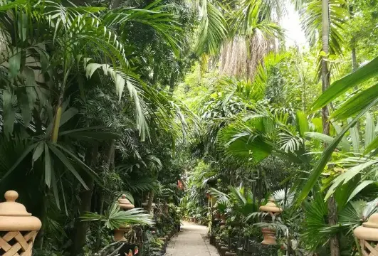 Symphonie des Arts, Kinshasa