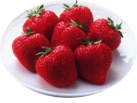 大木町　観光農園　いちご狩り　あまおう