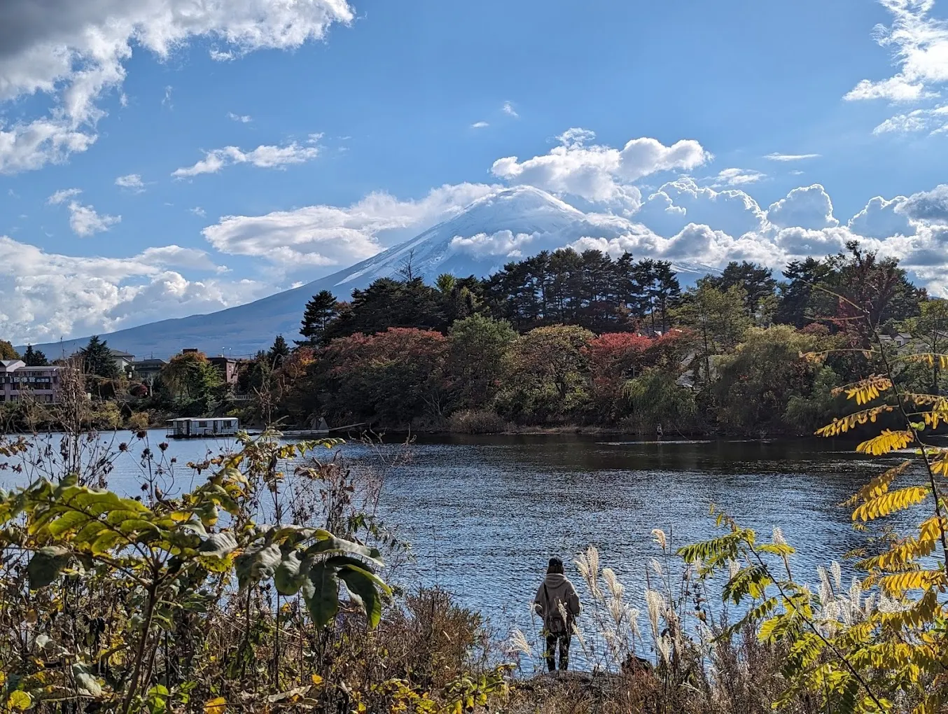 富士河口湖町大池公園的遊人 