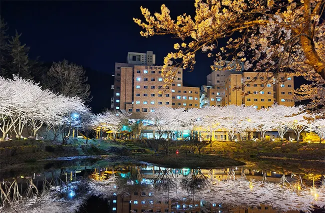 나주 동신대학교 (출처: 동신대학교 공식홈페이지)