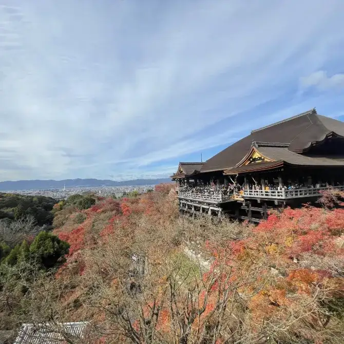 在清水舞臺居高臨下賞紅葉