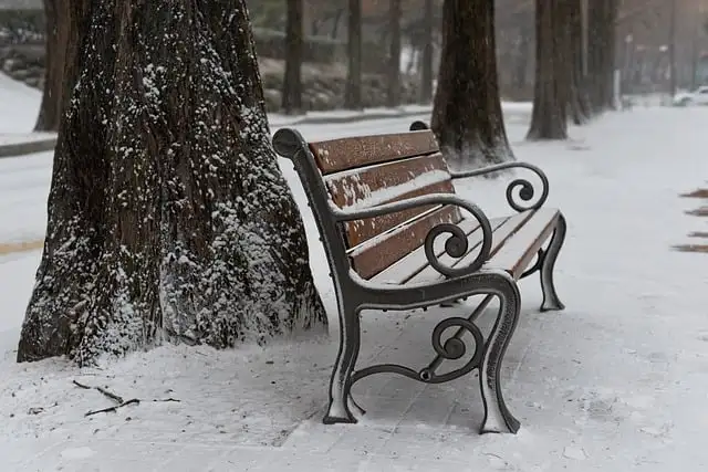 1月の韓国・大邱の気温