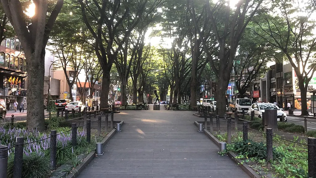 宮城県 | 仙台市｜定禅寺通｜外観