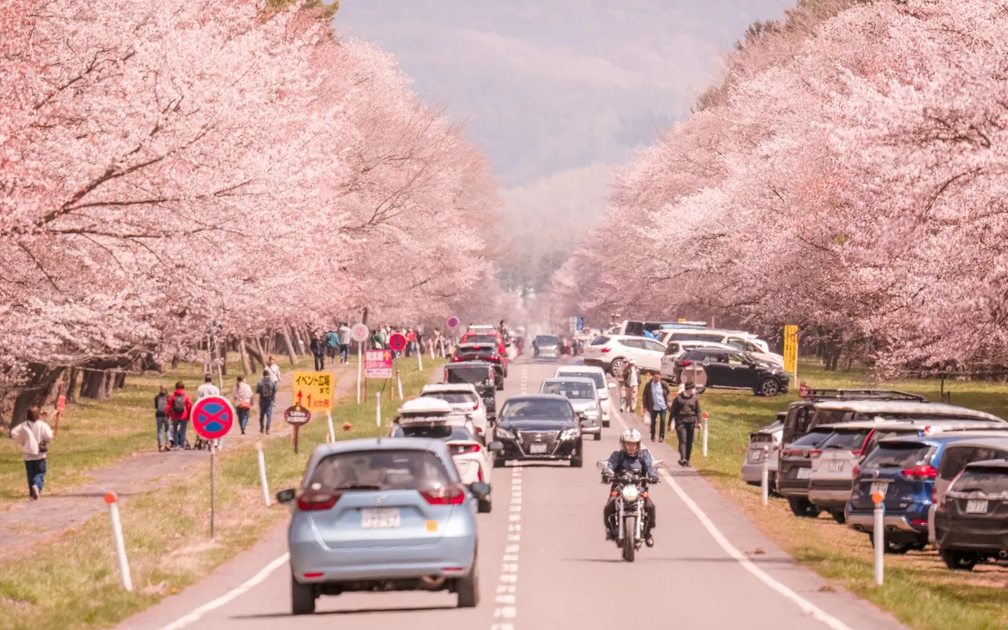 日本北海道二十間道路