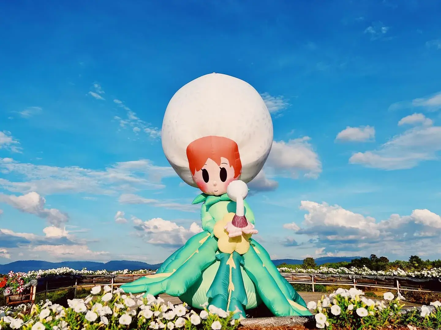 Flora Park - วังน้ำเขียว นครราชสีมา : บอลลูนลมมาสคอต (Source: ศูนย์เรียนรู้ฯฟลอร่า พาร์ค)