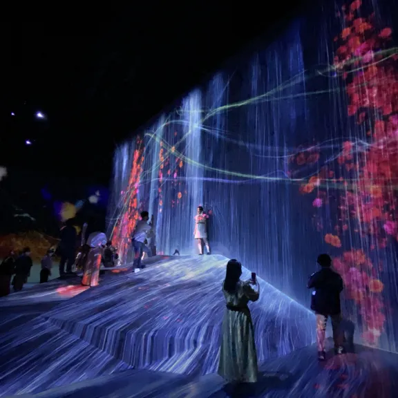 Tokyo TeamLab Borderless