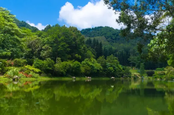 Fairylake Botanical Garden, Shenzhen