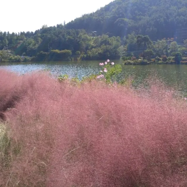 금산 하늘공원