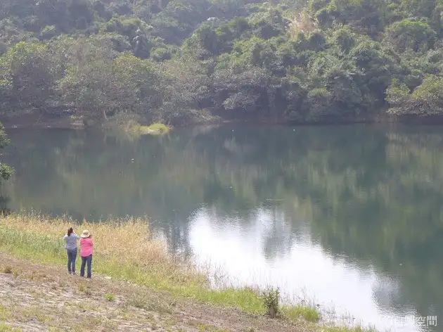 湖光山色的深井聚水塘（Photo source: 平帆的自製空間）