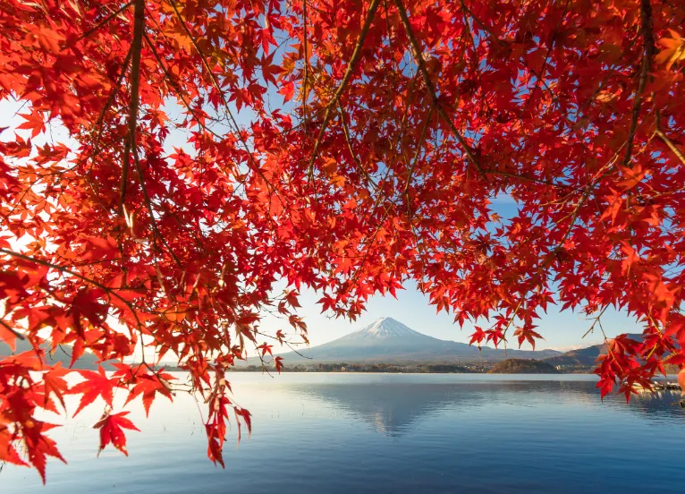 富士河口湖町-富士山五合目