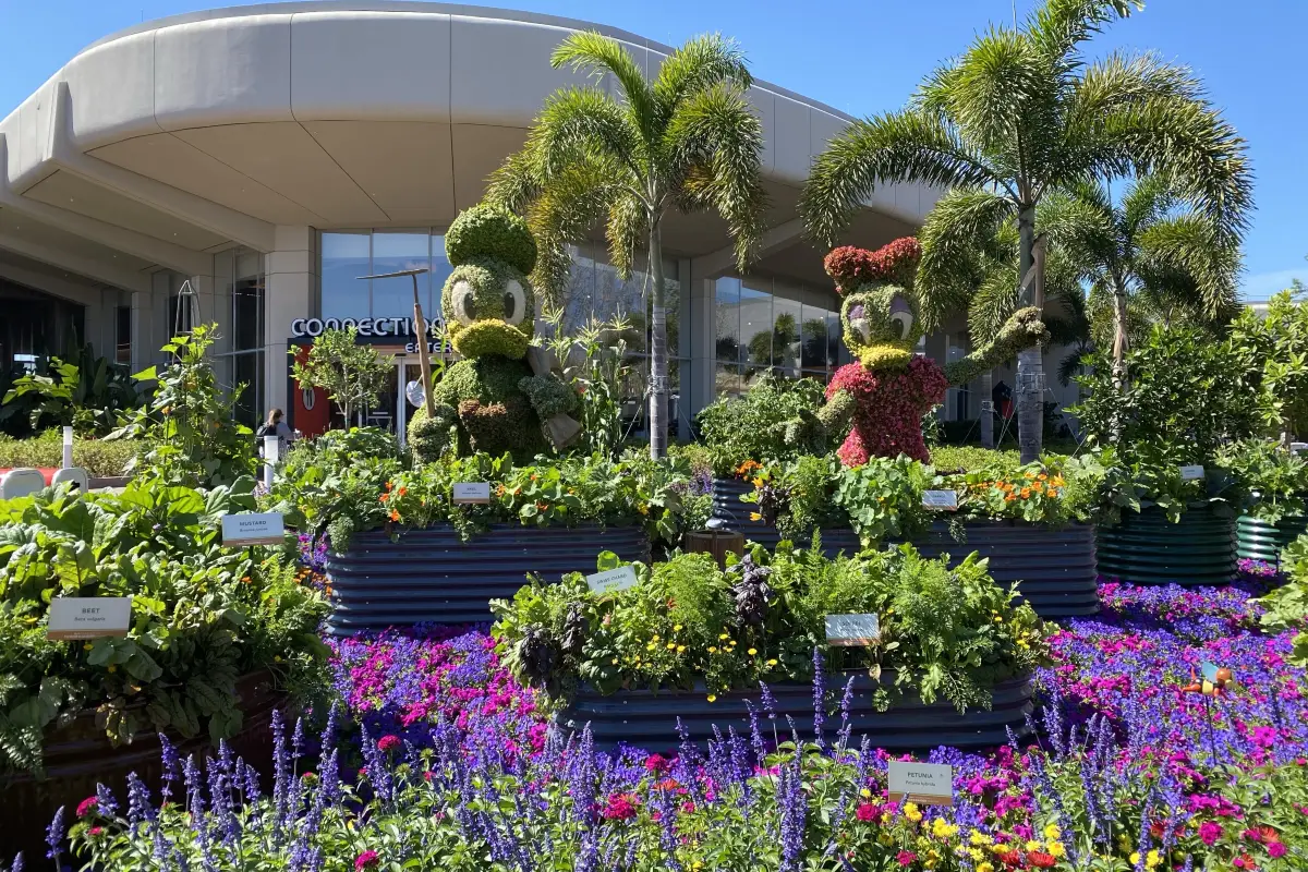 스카이 레이크 엡코트