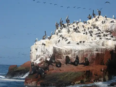 バジェスタス島