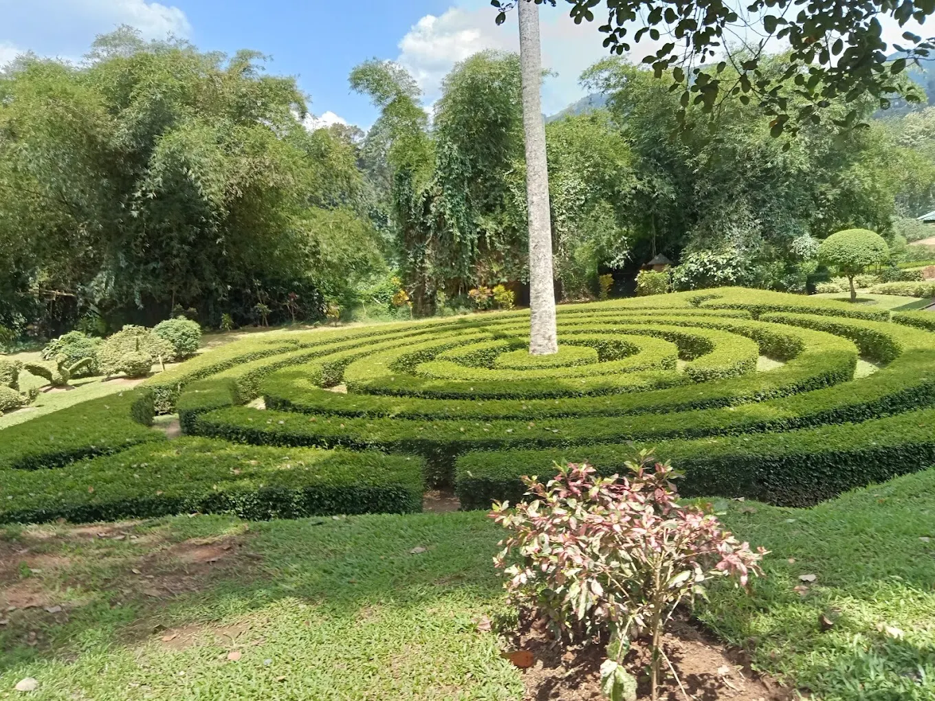 Peradeniya Botanical Gardens, near Pilimathalawa