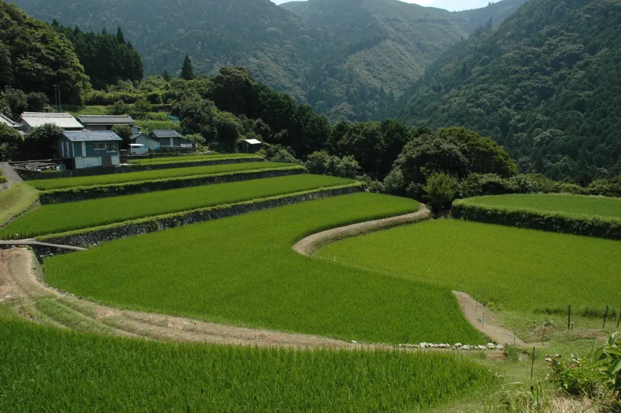奈半利町, 奈半利町の風景