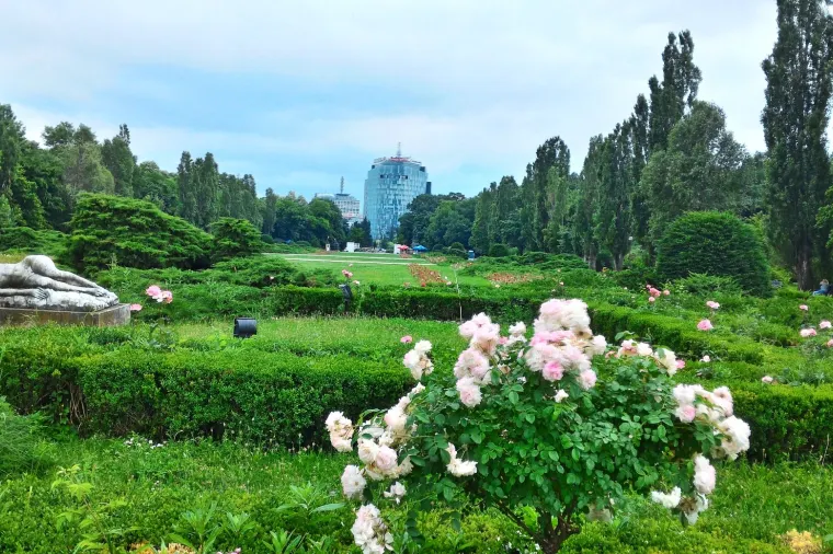 Parcul Herăstrău, Bucharest