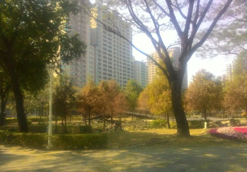 高雄凹子底森林公園-公園一角