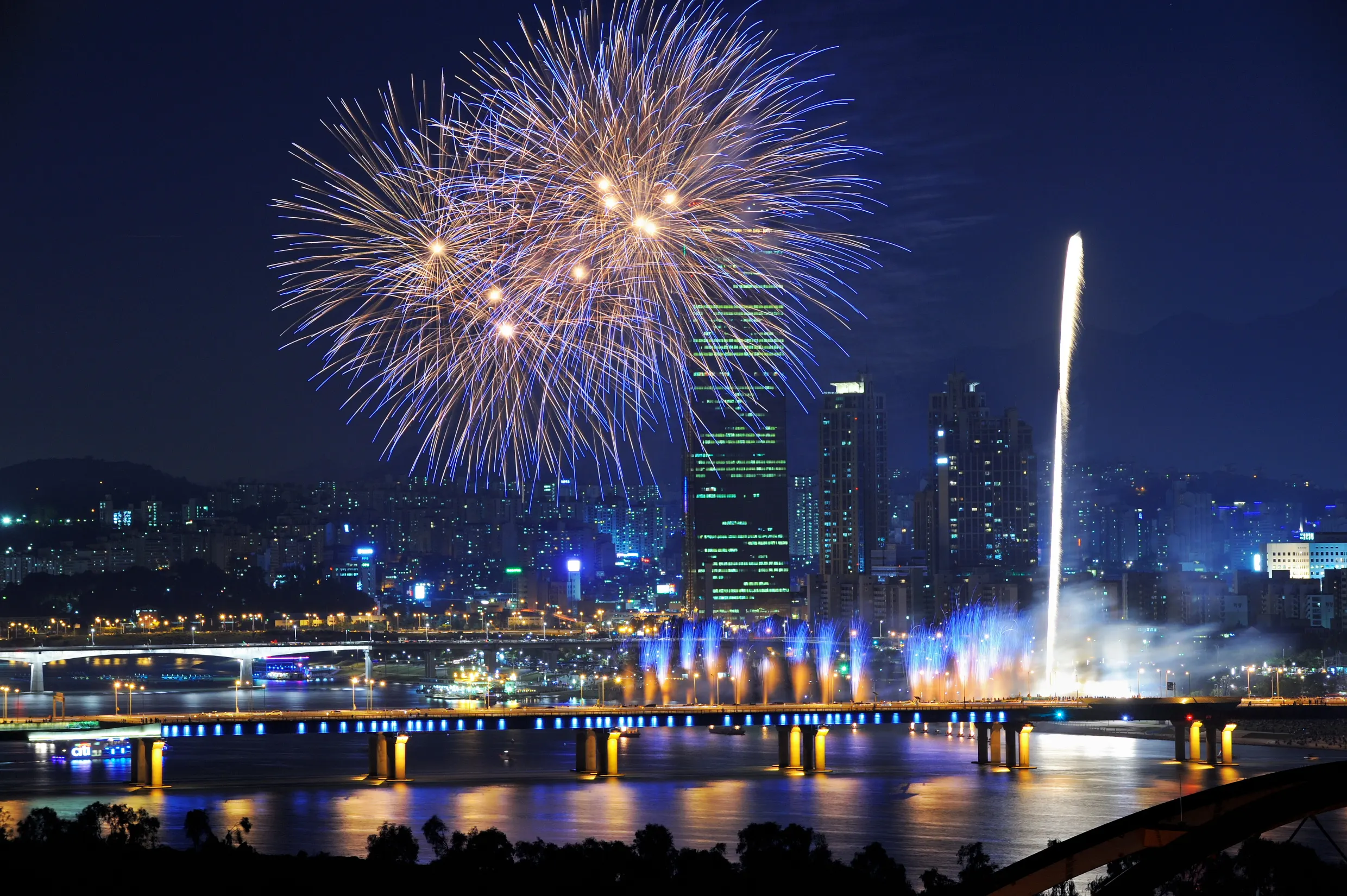 서울세계불꽃축제의 풍경 (출처: 영등포구청)