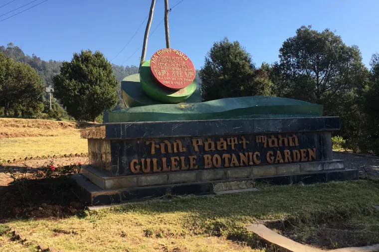 Gullele Botanical Garden, Addis Ababa