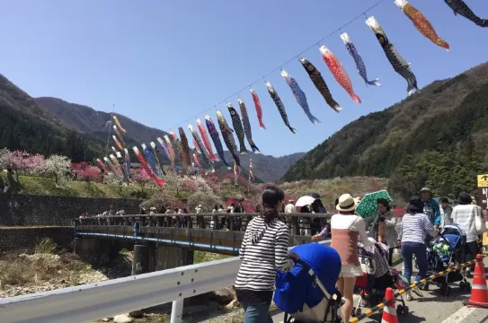 長野県｜阿智｜阿智村ヘブンスそのはら｜鯉のぼり