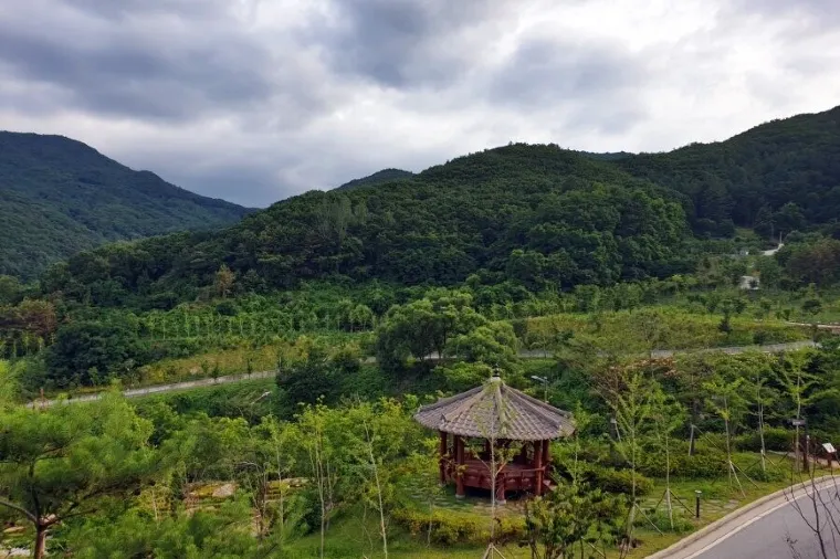 경상북도 고령군 
