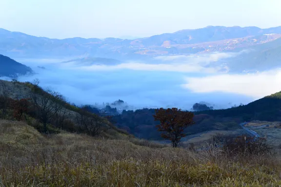 由布市由布院温泉附近的風景