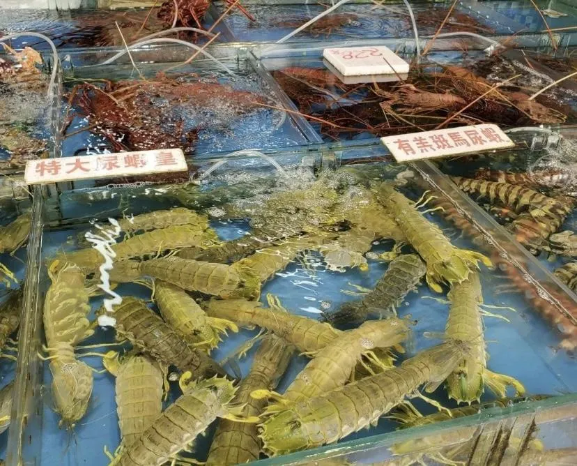 多款生猛海鮮任君選擇