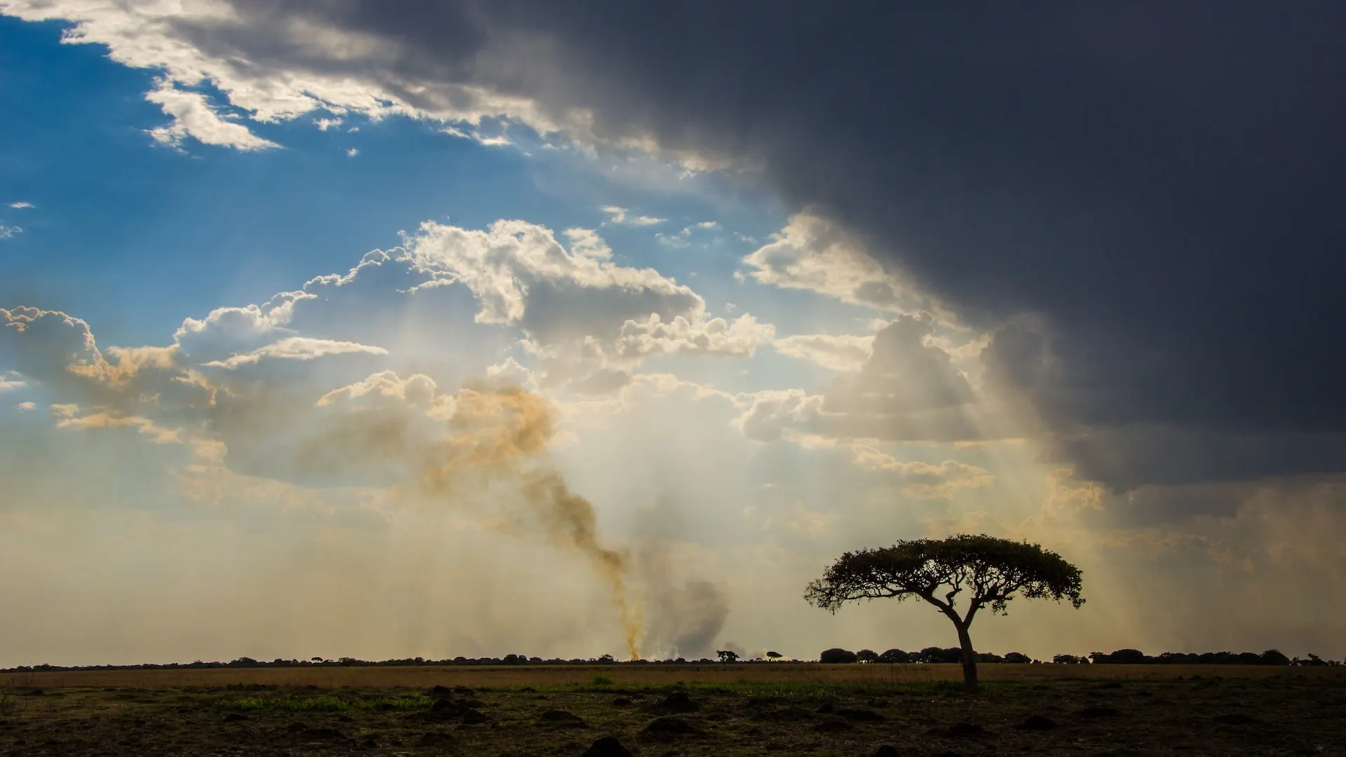 Natural landscape in Lusaka, Source: Photo by Birger Strahl on Unsplash