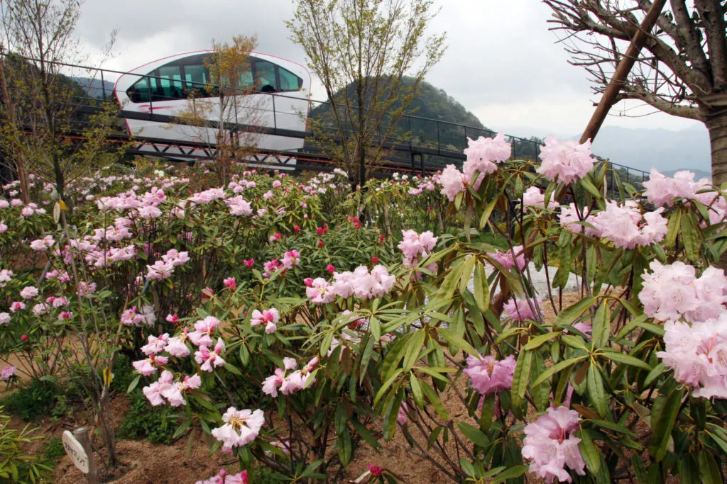 福岡県,添田町,筑豊地域,英彦山にある英彦山花園