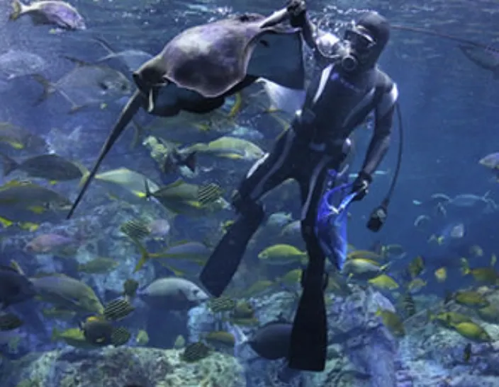 오이타 우미타마고 수족관