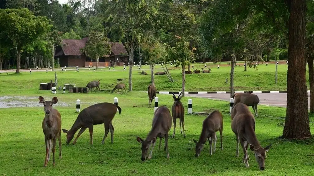 อำเภอปักธงชัย อุทยานแห่งชาติเขาใหญ่