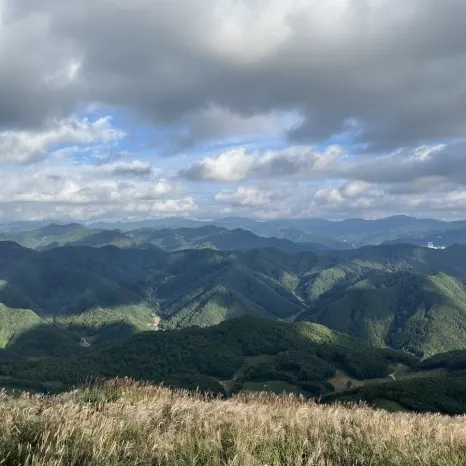 정선 민둥산 