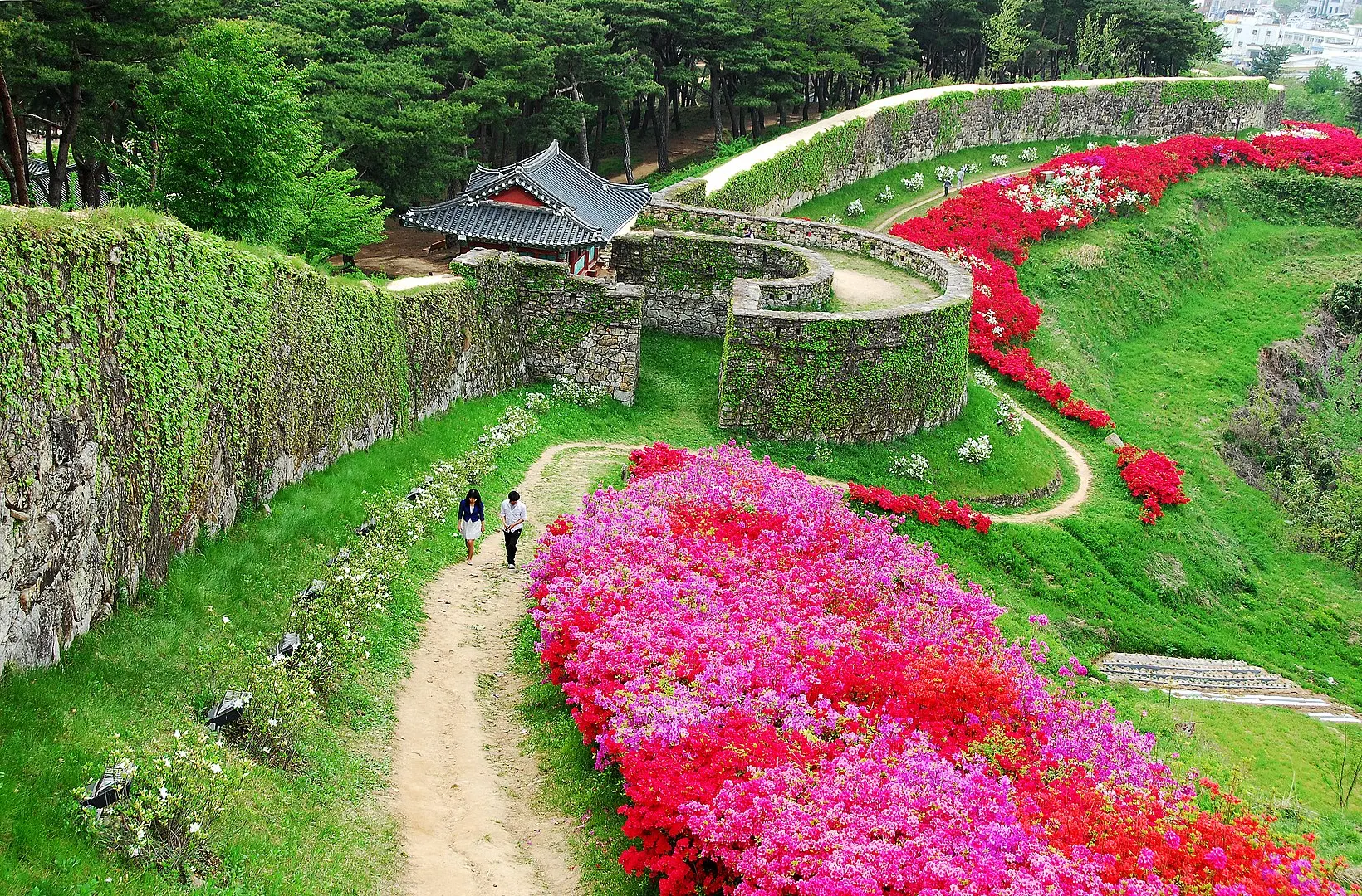 고창읍성의 봄 풍경 (출처: 위키피디아)